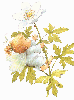 oncle dom animation fantaisie mignon1.gif mignon1.gif
