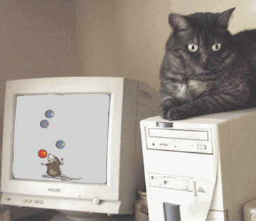 animations humoristiques animalières tente1.gif