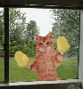 animations humoristiques animalières essuie2.gif animations humoristiques animalières essuie2.gif