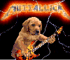 animations humoristiques animalières folk.gif animations humoristiques animalières folk.gif