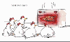 animations humoristiques animalières horror.gif animations humoristiques animalières horror.gif