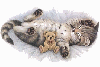 animations humoristiques animalières repos.gif animations humoristiques animalières repos.gif