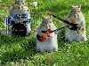 animations humoristiques animalières rock.gif animations humoristiques animalières rock.gif
