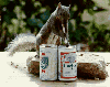 animations humoristiques animalières soiffard.gif animations humoristiques animalières soiffard.gif