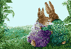 animations humoristiques animalières tendres.gif animations humoristiques animalières tendres.gif