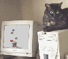 animations humoristiques animalières tente1.gif animations humoristiques animalières tente1.gif