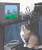 animations humoristiques animalières tente2.gif animations humoristiques animalières tente2.gif