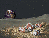 animations humoristiques fantaisie detritus.gif animations humoristiques fantaisie detritus.gif