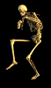 animations humoristiques fantaisie os2.gif animations humoristiques fantaisie os2.gif