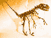 animations humoristiques fantaisie os4.gif animations humoristiques fantaisie os4.gif