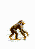 humour informatique evolue.gif humour informatique evolue.gif