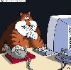humour informatique souris3.gif humour informatique souris3.gif