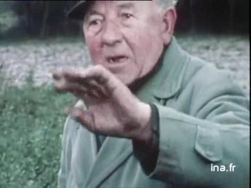 le témoin n'a pas osé s'approcher image 4