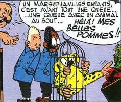 marsupilami africain et gourmand blondin011