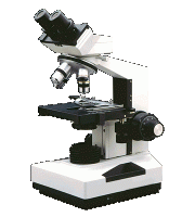 microscope